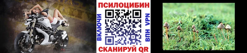 Псилоцибиновые грибы GOLDEN TEACHER  Кашира 